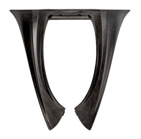 Plaque Dorsale BNS (nouveau modèle)