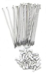 Jeu de rayons + tête pour roue arrière