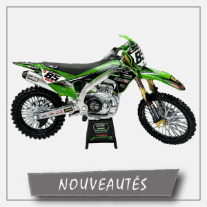 Maquette Newray Replica Team Bud Racing